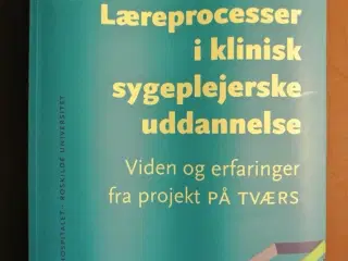 læreprocesser i klinisk sygeplejerskeuddannelse, a