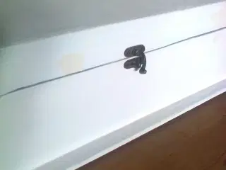 Kasse af træ med buet låg