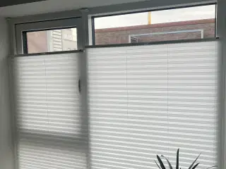 Plissegardiner Luxaflex