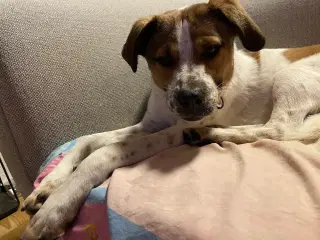 Søde Virgin søger 4ever familie 🩷