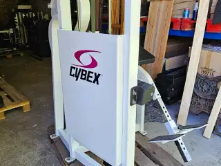 Cybex Back Extension