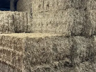 Byg Halm 