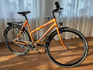 Nishiki, 307 Hybrid