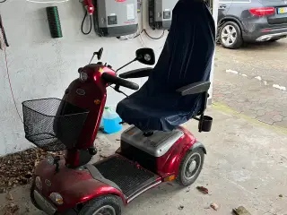 El scooter