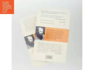 Brødrene Karamazov : roman i fire dele med en epilog. Bind 1 (Ved Georg Sarauw) af F. M. Dostojevskij (Bog)