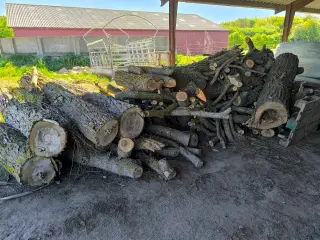 brænde