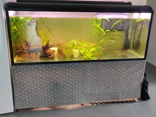 530 liter akvarie