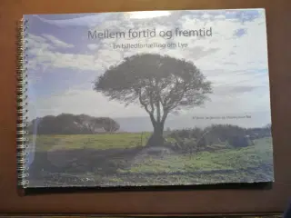 mellem fortid og fremtid billedfortælling om lyø, 
