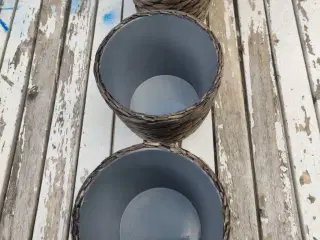 Urtepotter