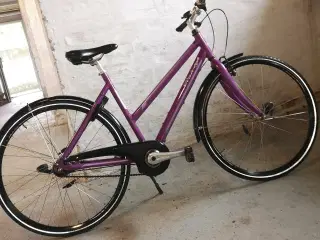 RALEIGH 28"  52cm lila  7 gear..  baglygter 