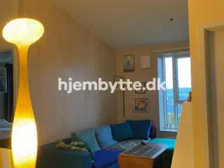 Hjembytte - Skademosen