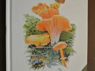 spiselige svampe, af peter nielsen, emne: biologi 
