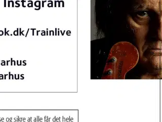 Walter Trout koncert, Train, 29.10