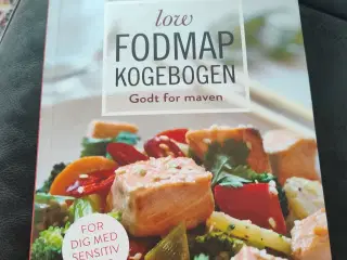 Low fodmap kogebogen 