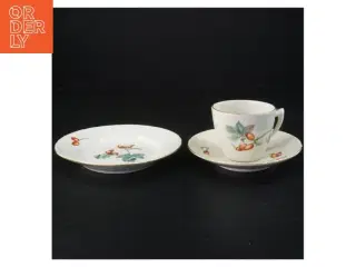 Tekop med underkop og desserttallerken Hyben fra Bing Og Grøndal (str. Diameter 15 og en halv cm kop 6 xn 7 cm)