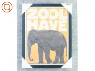 Billedramme med zoologisk have billede fra G Og C Interiors (str. 43 x 33 cm)