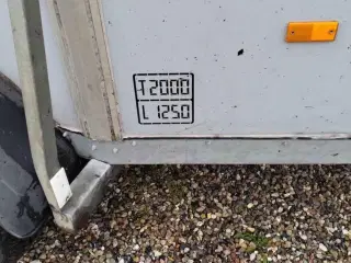 Hestetrailer udlejes