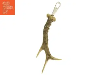 Flaskeåbner i gevir (str. 27 cm)