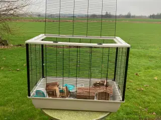 Fugle bur til fugle eller smådyr 