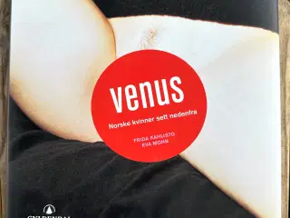 VENUS - Norske kvinner sett nedenfra – Norsk