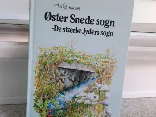 Øster Snede sogn