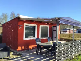 Kolonihave 