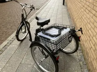 Pga sygdom SØGES BILLIG 3 hjulet el Nyere Velh OK 