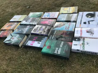 Div. krimi bøger til sommerferielæsning!