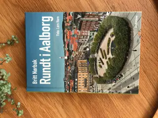 Rundt i Aalborg af Britt Nørbak