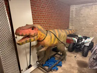 Dinosaur 