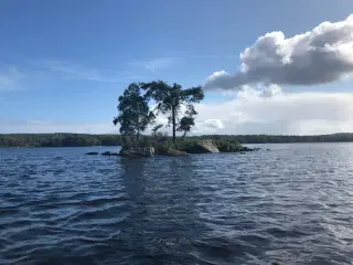 Hyggelig møbleret 2. værelses ljelighed udlejes