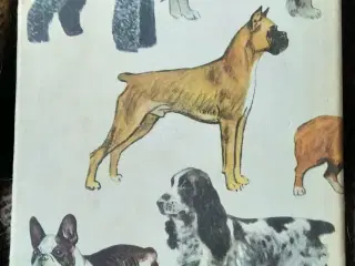 Hunde i farver