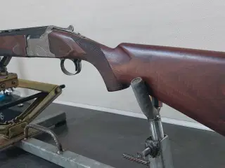 Winchester pigeon