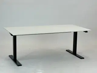 Hæve-/sænkebord 160x80 (m. faset kant) - Linak
