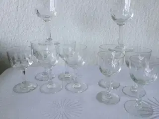murat glas