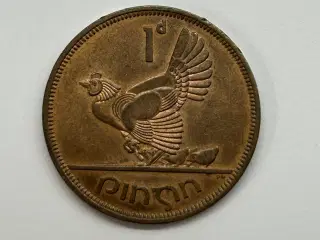 1 Pingin Ireland 1965