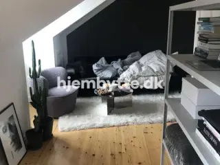 Hjembytte - Griffenfeldsgade