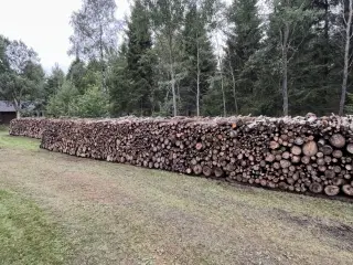 20 rm brænde (løvtræ) inkl. levering