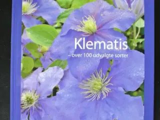 klematis - over 100 udvalgte sorter, af andromeda 
