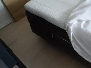 elevationsseng