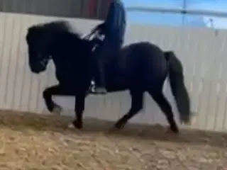 Nem ridelig vallak
