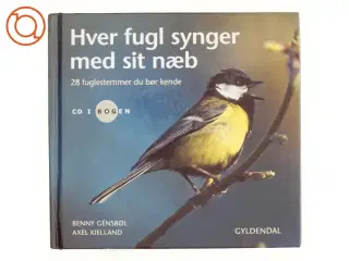 Hver fugl synger med sit næb : 28 fuglestemmer, du bør kende (Bog)