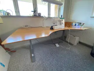Solidt Linak Hæve/sænkebord