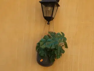 2 stk. planter i hængekrukker