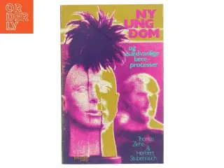 Bog 'NY UNGDOM og usædvanlige lærerprocesser'