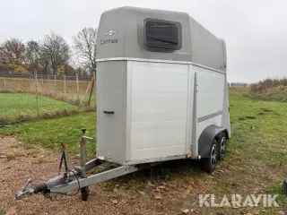 Hestetrailer Humbaur Rapid Carrus aluminiums trailer