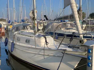 Hallberg rassy monsun 31