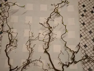 Troldegrene flere størrelser