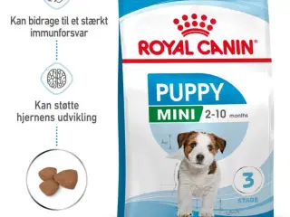 Hvalpefodder