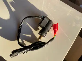 Choker pgo hot